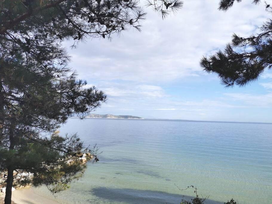 Central Thassos Apartment 3 Zewnętrze zdjęcie